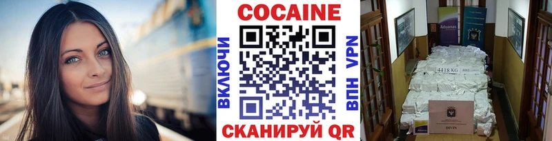 Купить закладки  Аргун  COCAIN Fish Scale 